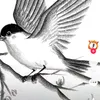 rdcr5