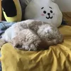 luphoricalt