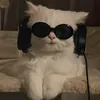 cool._.happy._.friend