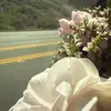 limited_sara