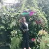 mien_vu2