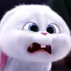thyuudwuoq.nef