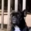 huuduyenblaaa