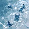 _sparkling_00