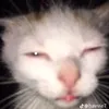 itsjustdenz_7