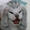 hoanglonggxx