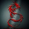dragon.xaxau
