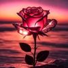 nodi_7752