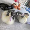 quackershouse