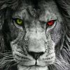 prabhatanaik30630