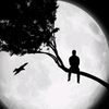 user65890177