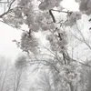 missmequietly