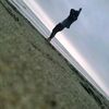 marckbastidas
