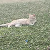 userow7z1j4d2n