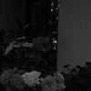 wnyofficial_