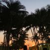 sunshineforlife45