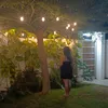 benevive_07