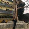 sujatashrestha121