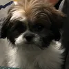 heybbibbleb