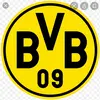 bvb071