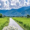 tariq_elkhair