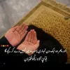 jiyajiya935