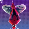 thxspidey
