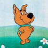 scrappyhates