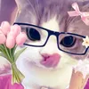 llove.you544
