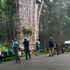 santoso7560