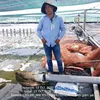 haosua95_