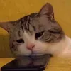 hey_nau