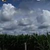 ttk...n0355448489