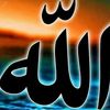 abdelrhman3378