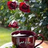 yassin.yassin70558