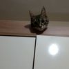 meryem377437