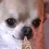 the_frequencysystem