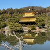 kelly_yang0886