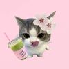 __lavcuttie1