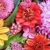 user0bqwrf717a