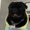 nescauopug