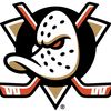 anaheimducksfan2020