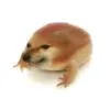 hiimrin0808