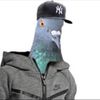jayrackz_._
