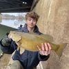 ryan_shafer_