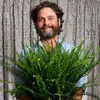 Between Two Ferns