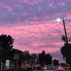 sunsetswine
