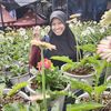aishahmdisd