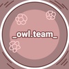 _owl.team_