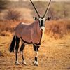 abdi.aadan_15